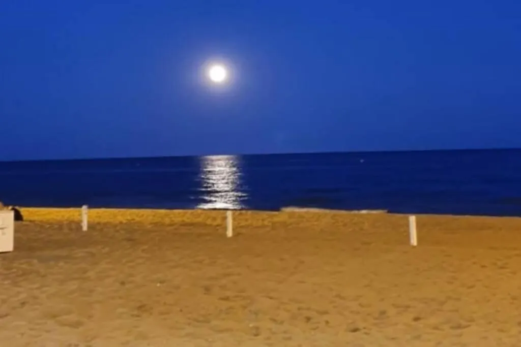 Apartamento Calafell Apartment 0*,